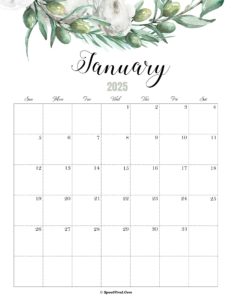 January Calendar 2025 Cute