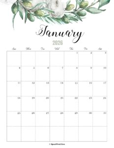 January Calendar 2026 Cute