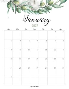 January Calendar 2027 Cute