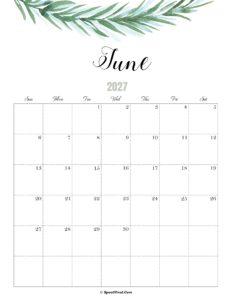 June Calendar 2027 Cute